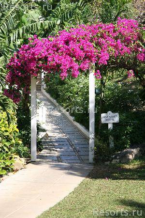 Round Hill Hotel & Villas 22